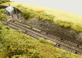 Model railway layout - Sheep Pasture